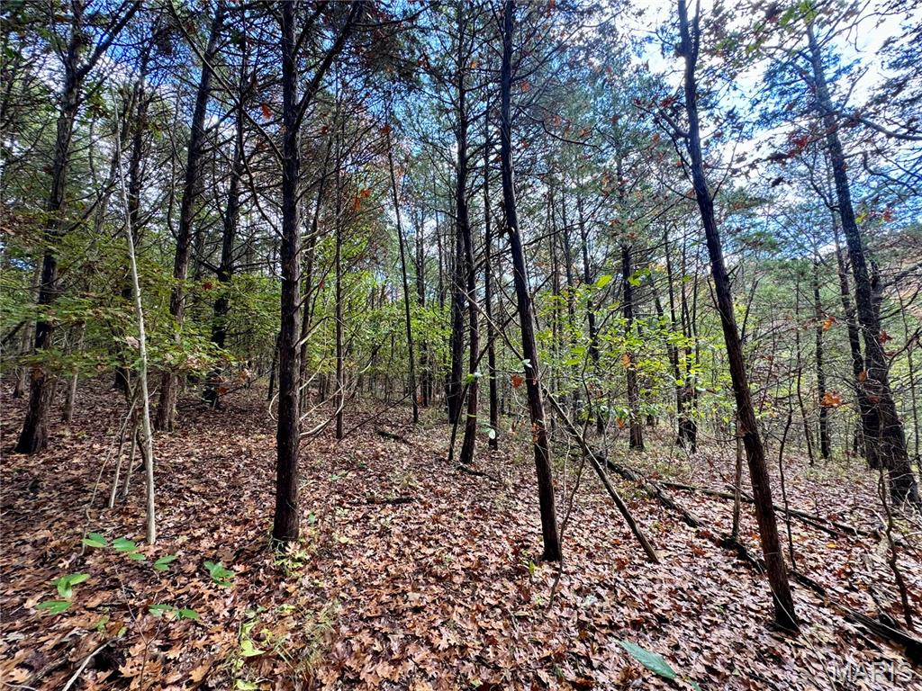 Lot 3 Haverstick School Road Festus, MO 63028 - Photo 5 of 9