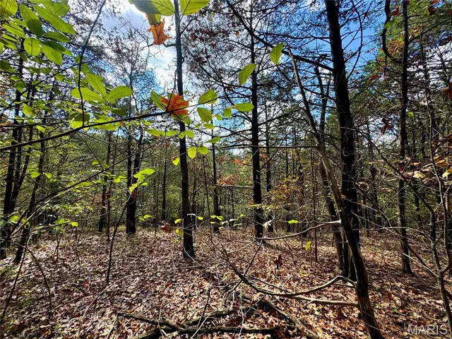 $27,500 | Lot 3 Haverstick School Road, Festus, MO 63028