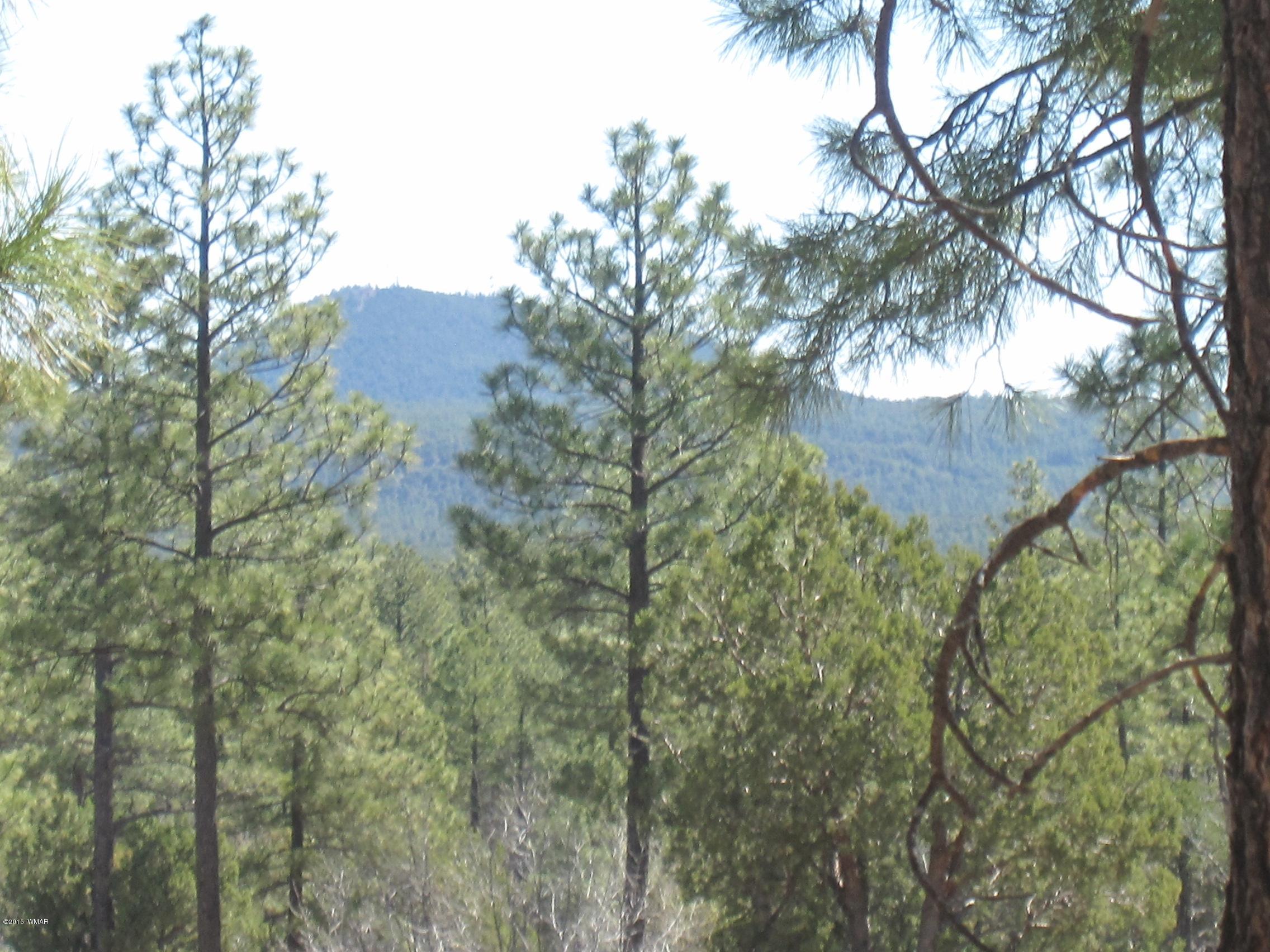 5956 Luminary Way Lakeside, AZ 85929 - Photo 34 of 45