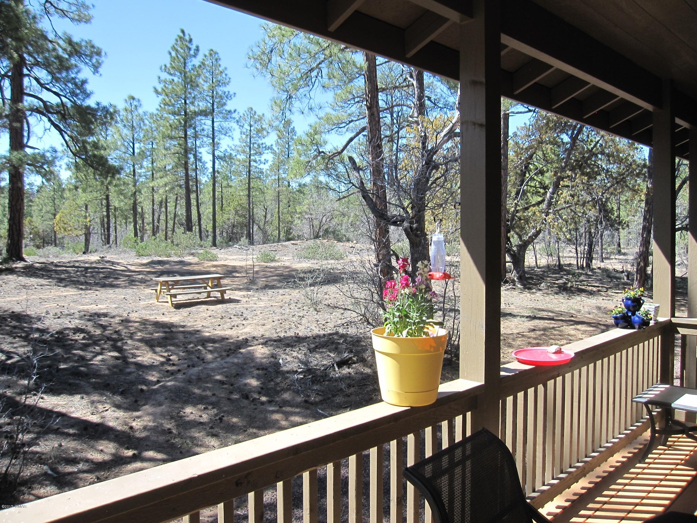 5956 Luminary Way Lakeside, AZ 85929 - Photo 36 of 45