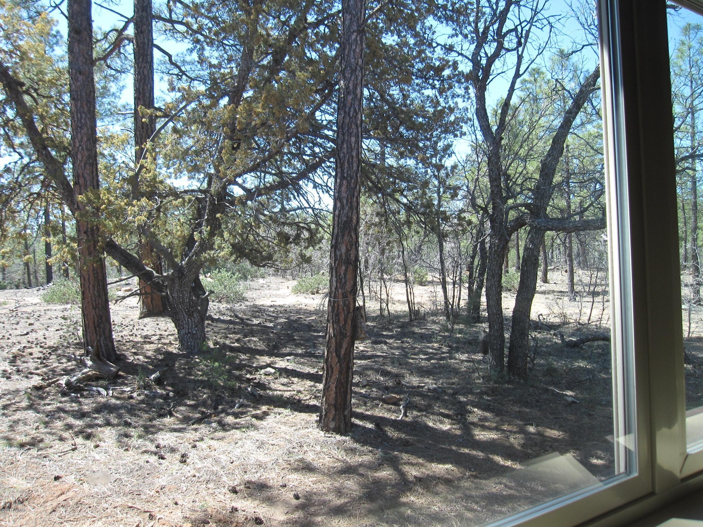 5956 Luminary Way Lakeside, AZ 85929 - Photo 37 of 45