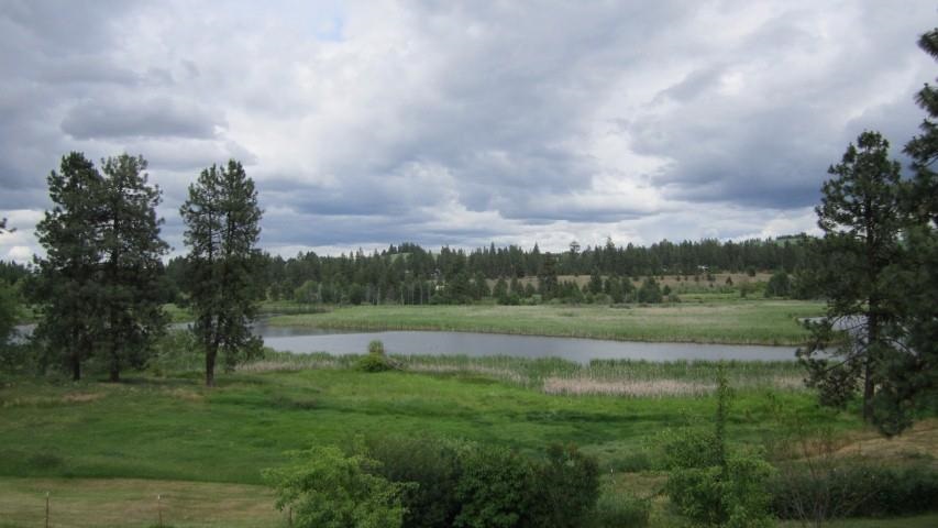 11313 South Murphy Road Cheney, WA 99004 - Photo 2 of 5