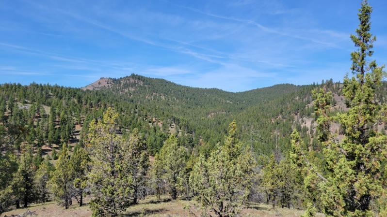 1315 Lofton Creek Road Prineville, OR 97754 - Photo 24 of 61 image000001 (1)