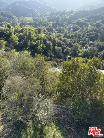 a view of a pathway with a yard