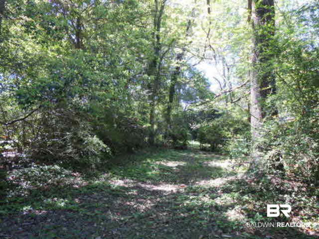 216 Court Street Mobile, AL 36611 - Photo 19 of 22