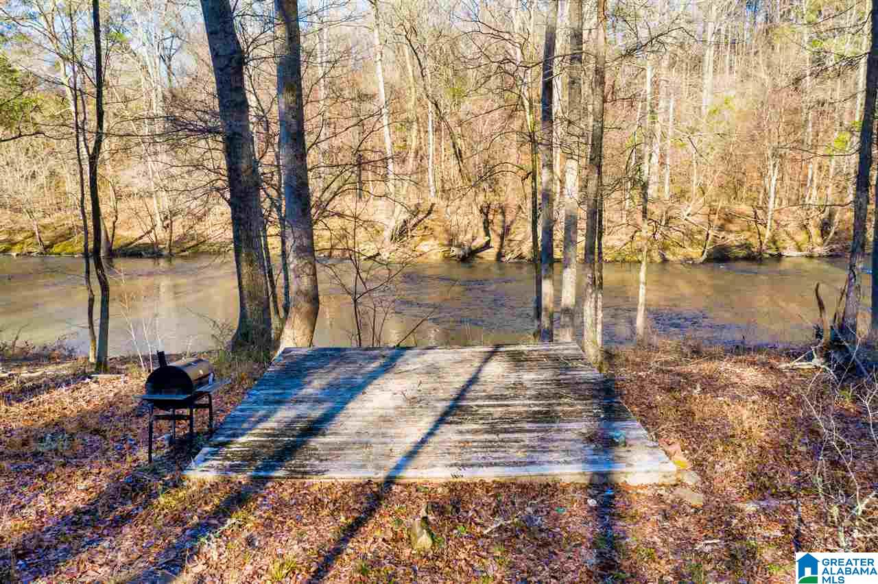 0 County Road 8, Unit 1 Clanton, AL 35045 - Photo 2 of 30