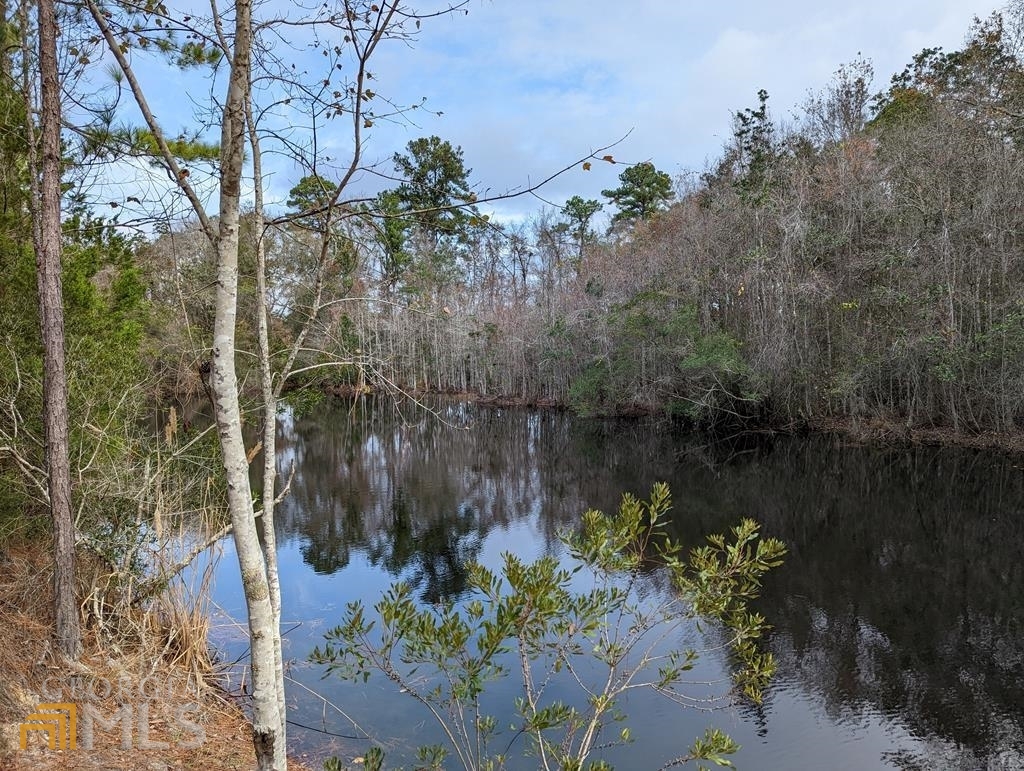 111 Flint Branch Church Road Jesup, GA 31545 - Photo 1 of 1 Gallery Image 1