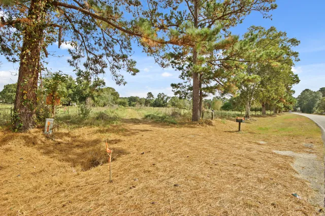 a view of a yard with trees in the background