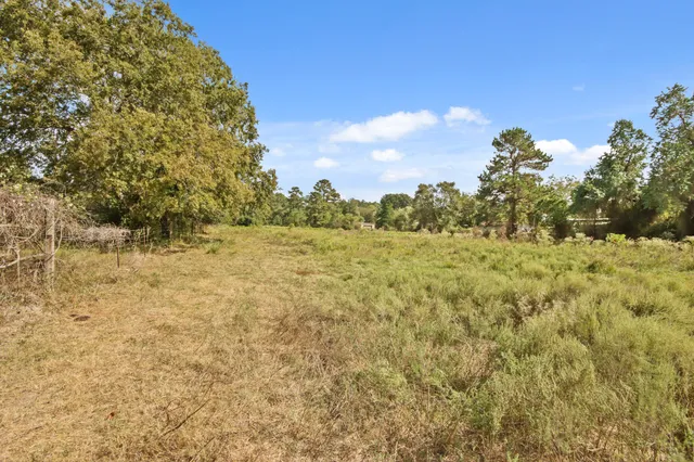 a view of a yard with plants and a bench