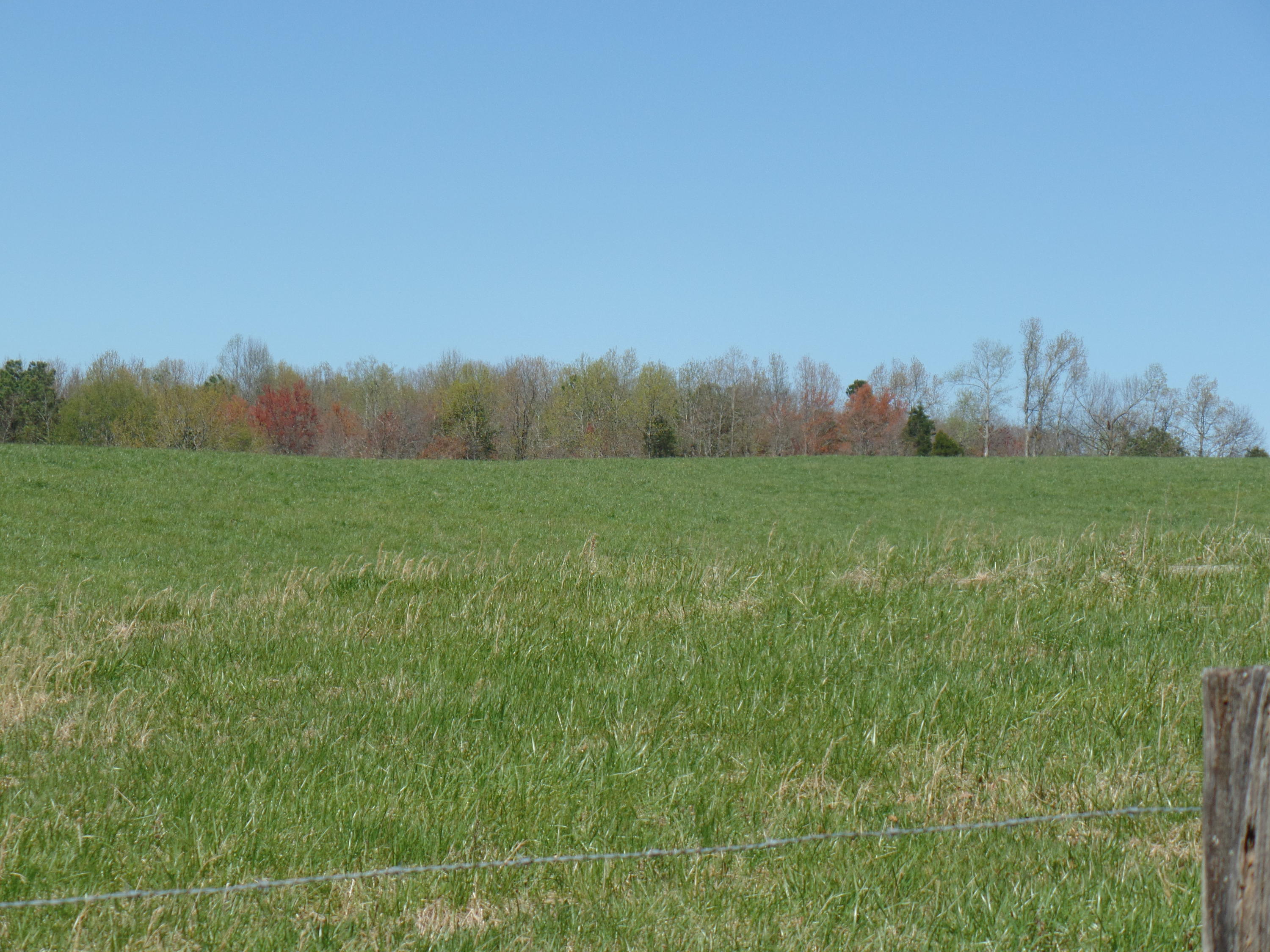 6 Walkertown Road Dayton, TN 37321 - Photo 1 of 10 SAM_1335