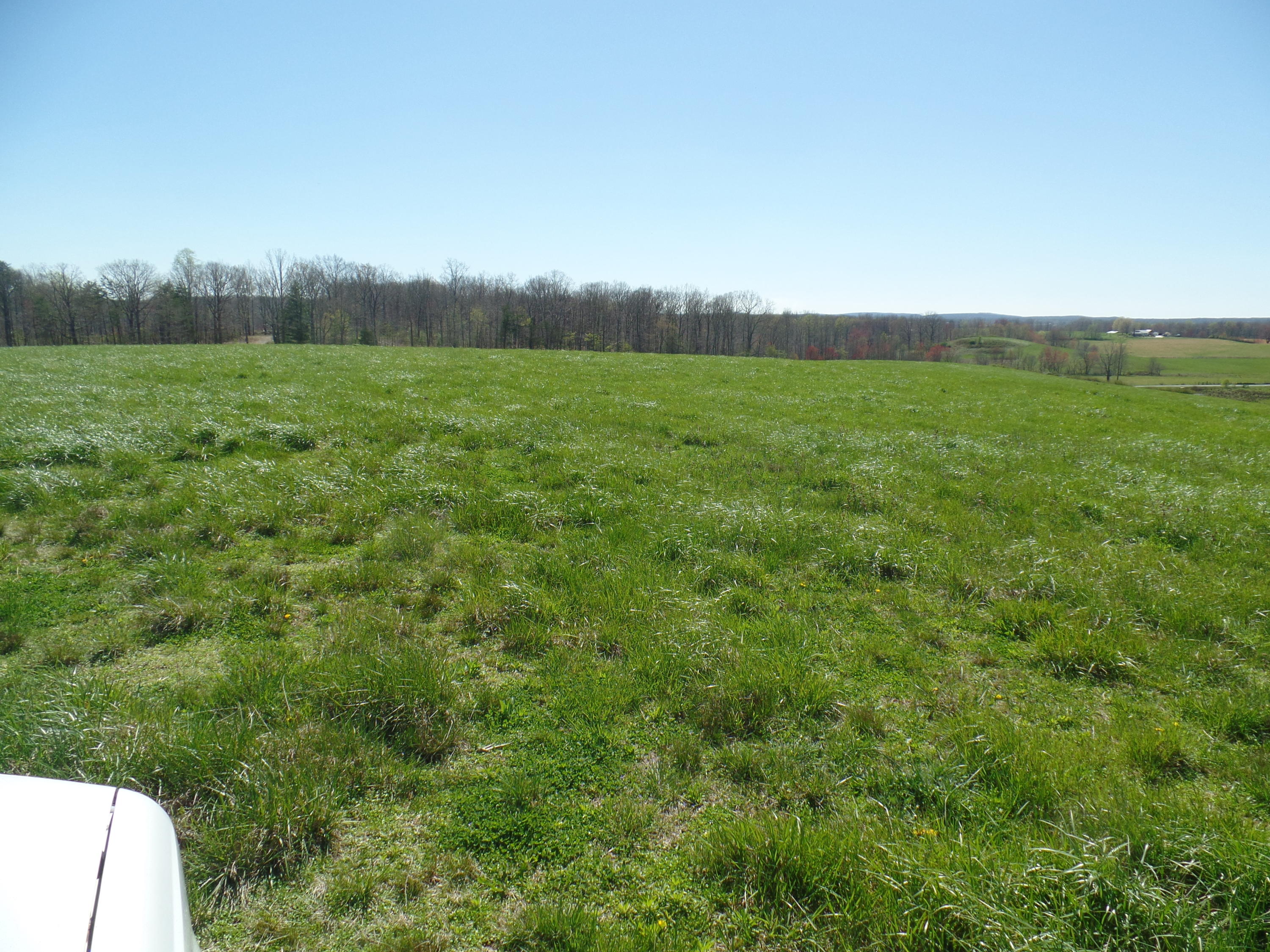 6 Walkertown Road Dayton, TN 37321 - Photo 6 of 10 SAM_1340