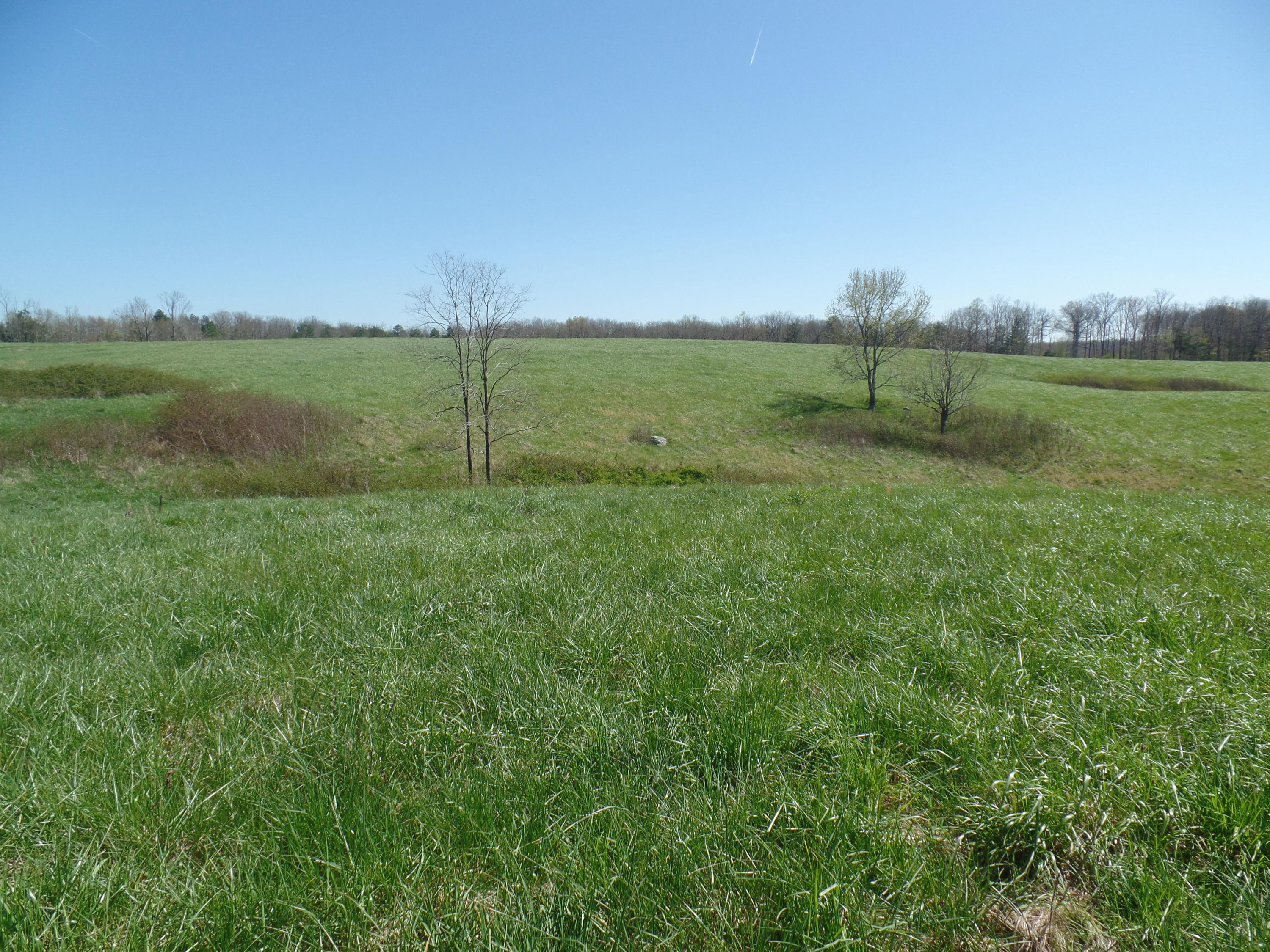 6 Walkertown Road Dayton, TN 37321 - Photo 8 of 10 SAM_1342