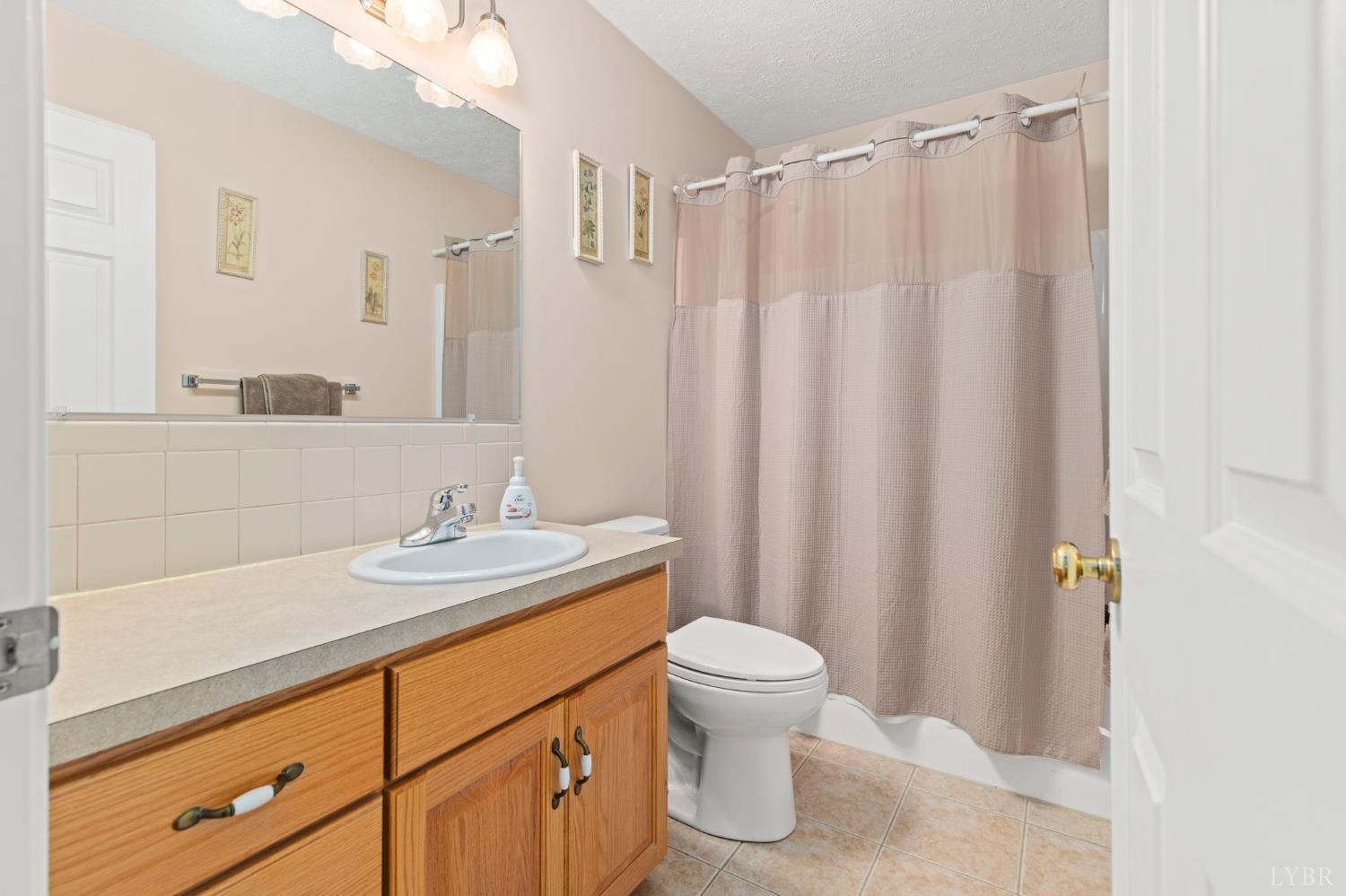 298 Braxton Ridge Road Amherst, VA 24521 - Photo 32 of 65 a bathroom with a sink a toilet a mirror and shower curtain
