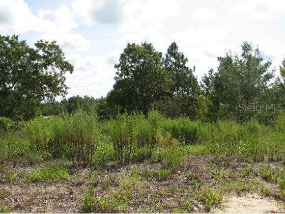 0 Southwest Larch Rd/juniper Trail Ocala, FL 34480 - Photo 1 of 1 Primary Photo