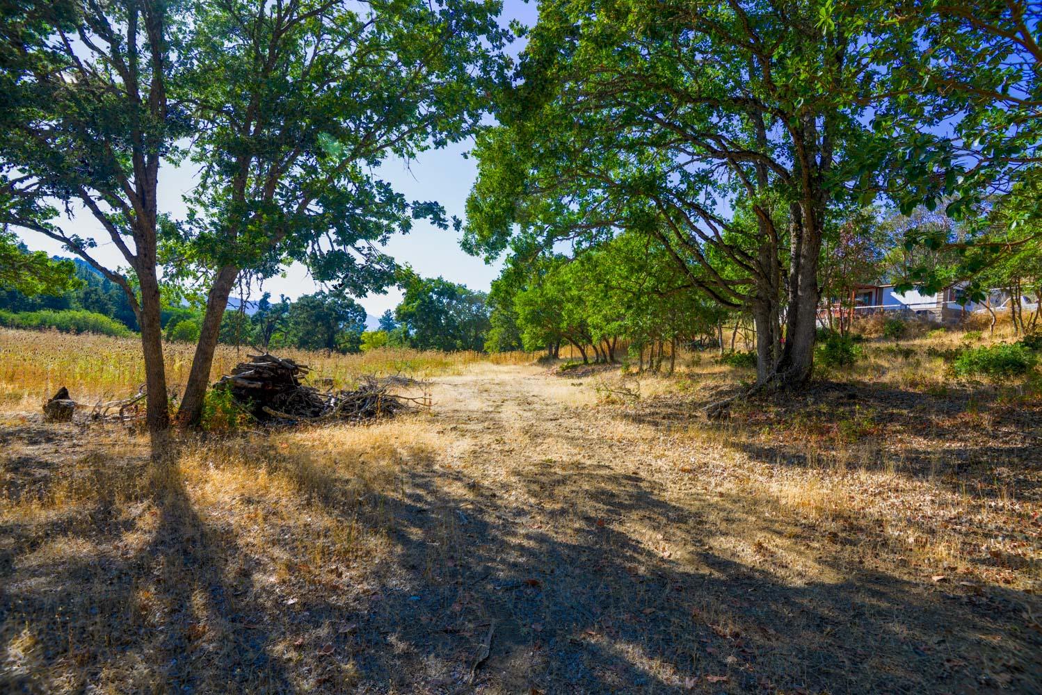 9757 Blackwell Road Central Point, OR 97502 - Photo 27 of 28 _ALB8737-HDR