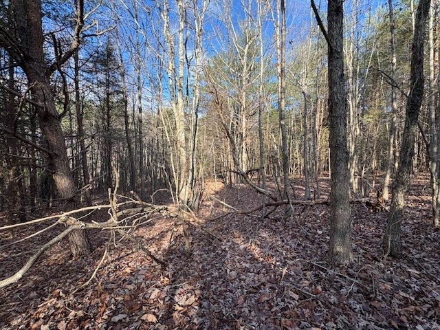 Tolers Ferry Road, Unit 1 Huddleston, VA 24104 - Photo 7 of 8 Gallery Image 7