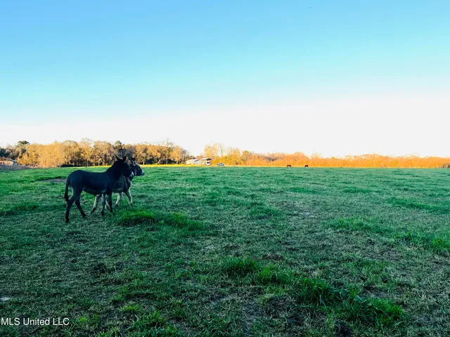 $365,000 | 130 Lower Ovett Road, Ovett, MS 39464