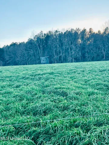 $365,000 | 130 Lower Ovett Road, Ovett, MS 39464