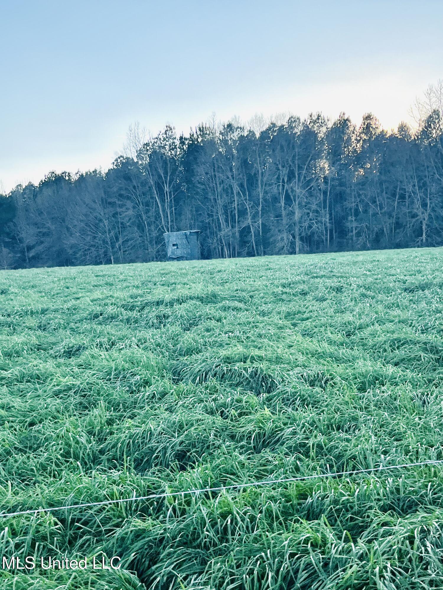 130 Lower Ovett Road Ovett, MS 39464 - Photo 13 of 25 IMG_3871