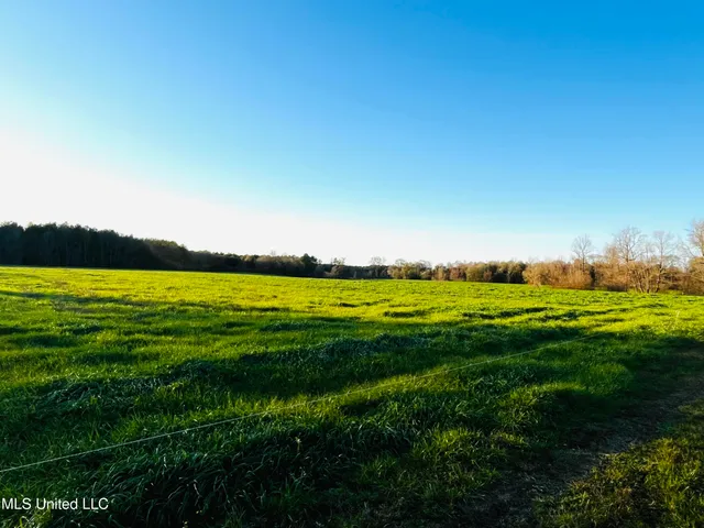 $365,000 | 130 Lower Ovett Road, Ovett, MS 39464