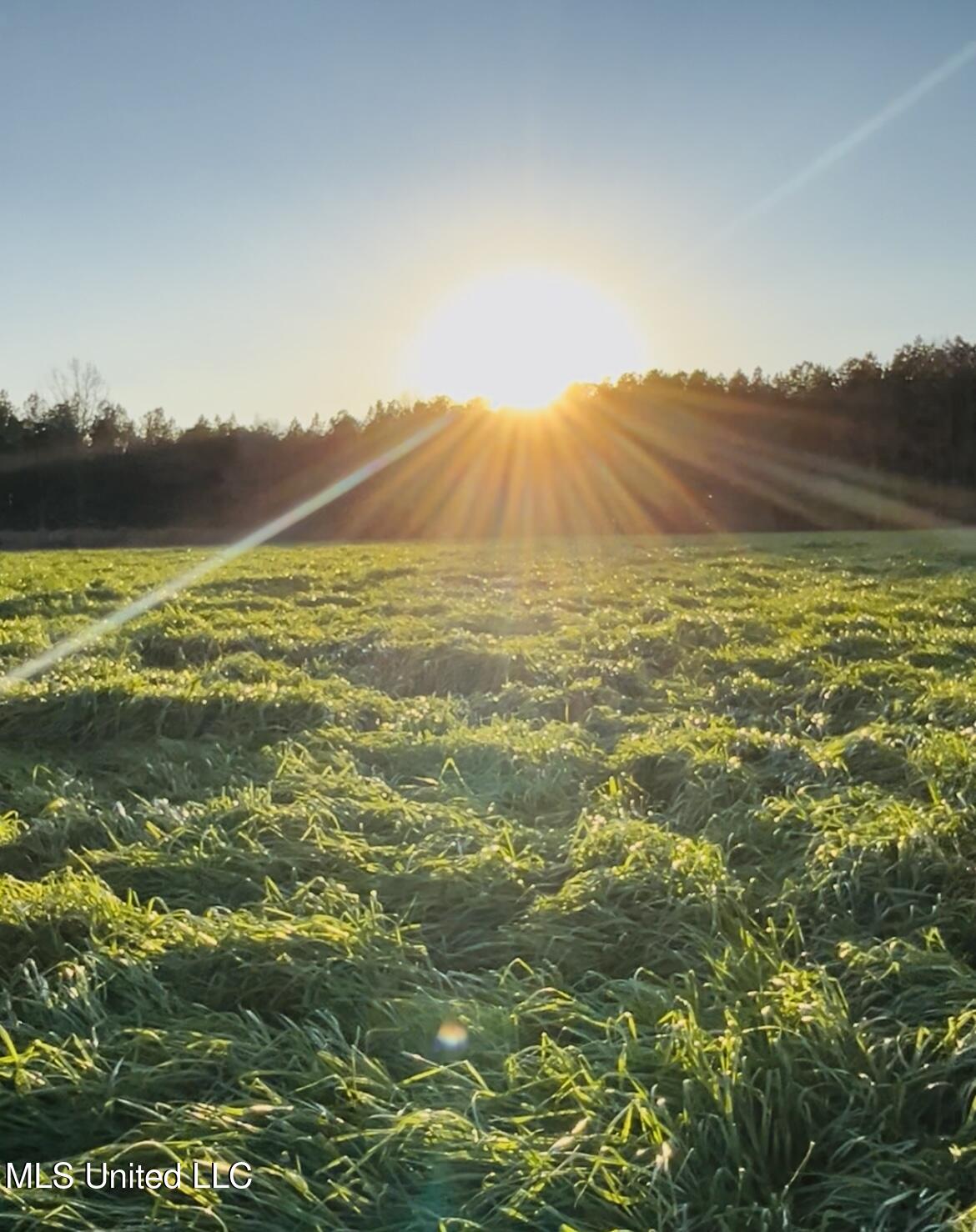 130 Lower Ovett Road Ovett, MS 39464 - Photo 15 of 25 IMG_3927