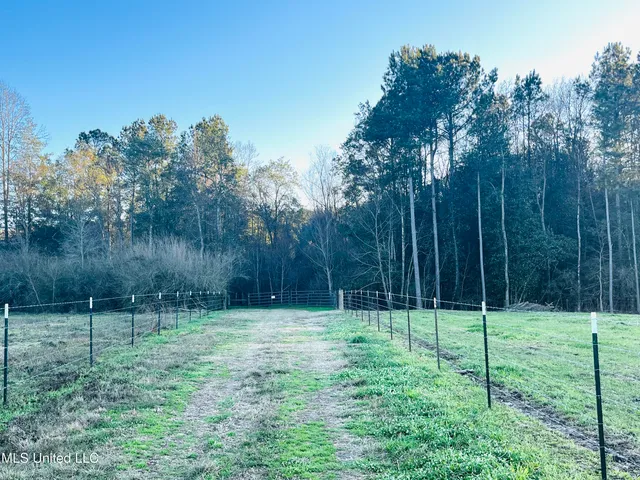 $365,000 | 130 Lower Ovett Road, Ovett, MS 39464