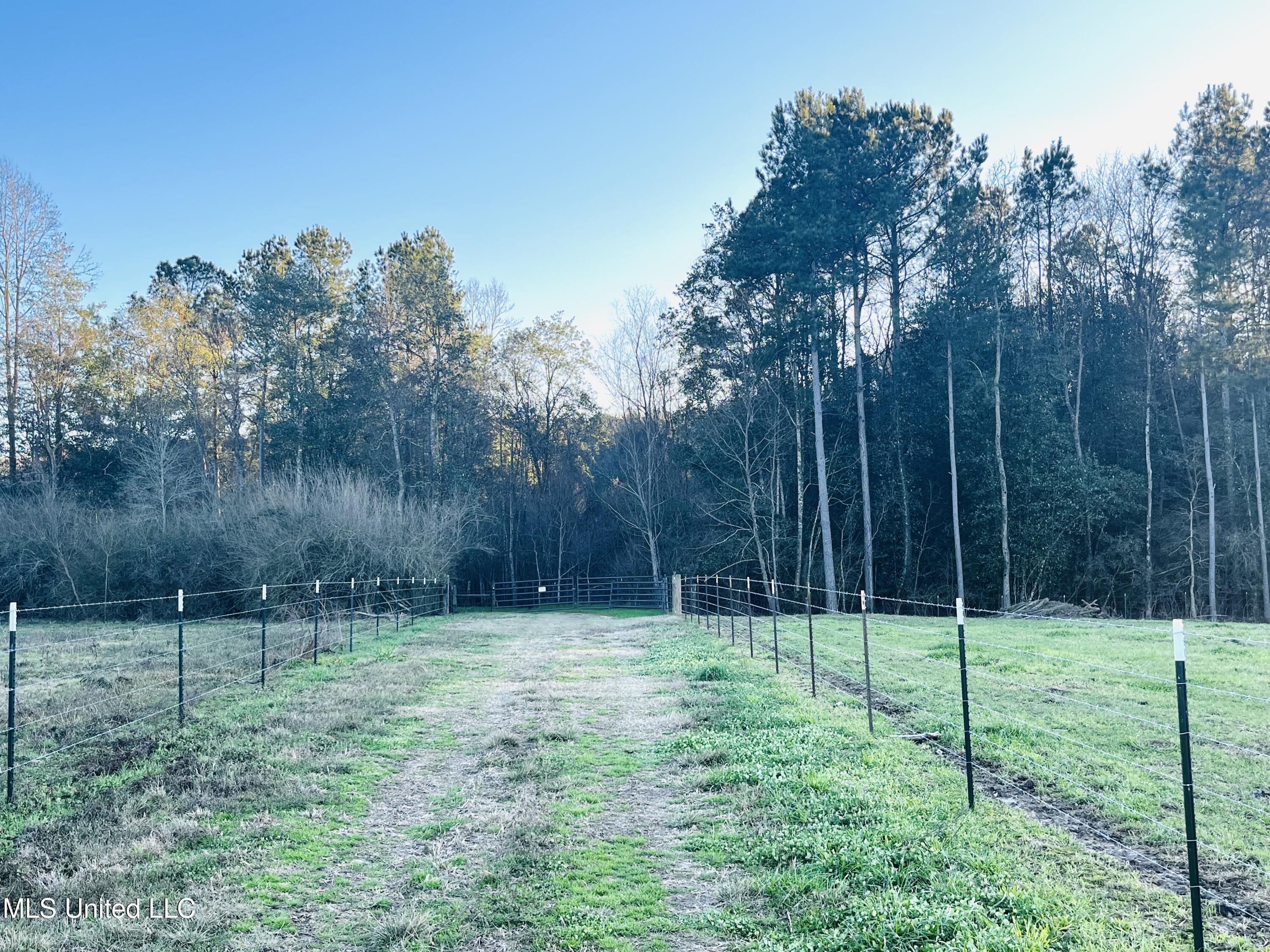 130 Lower Ovett Road Ovett, MS 39464 - Photo 19 of 25 IMG_3849