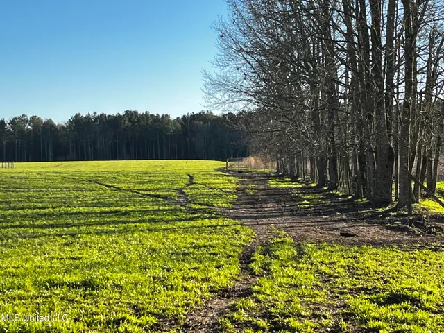 $365,000 | 130 Lower Ovett Road, Ovett, MS 39464