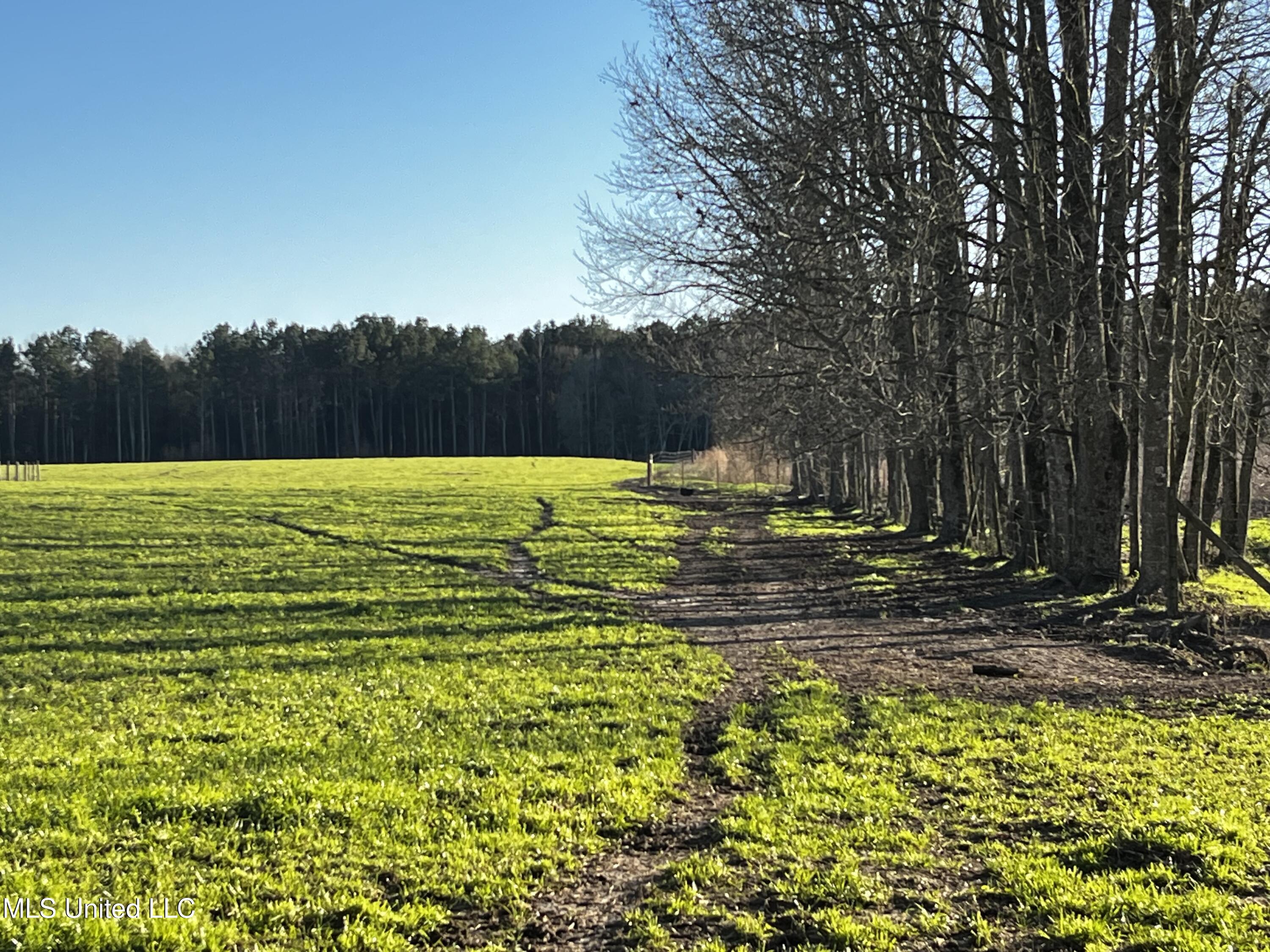 130 Lower Ovett Road Ovett, MS 39464 - Photo 20 of 25 IMG_3822