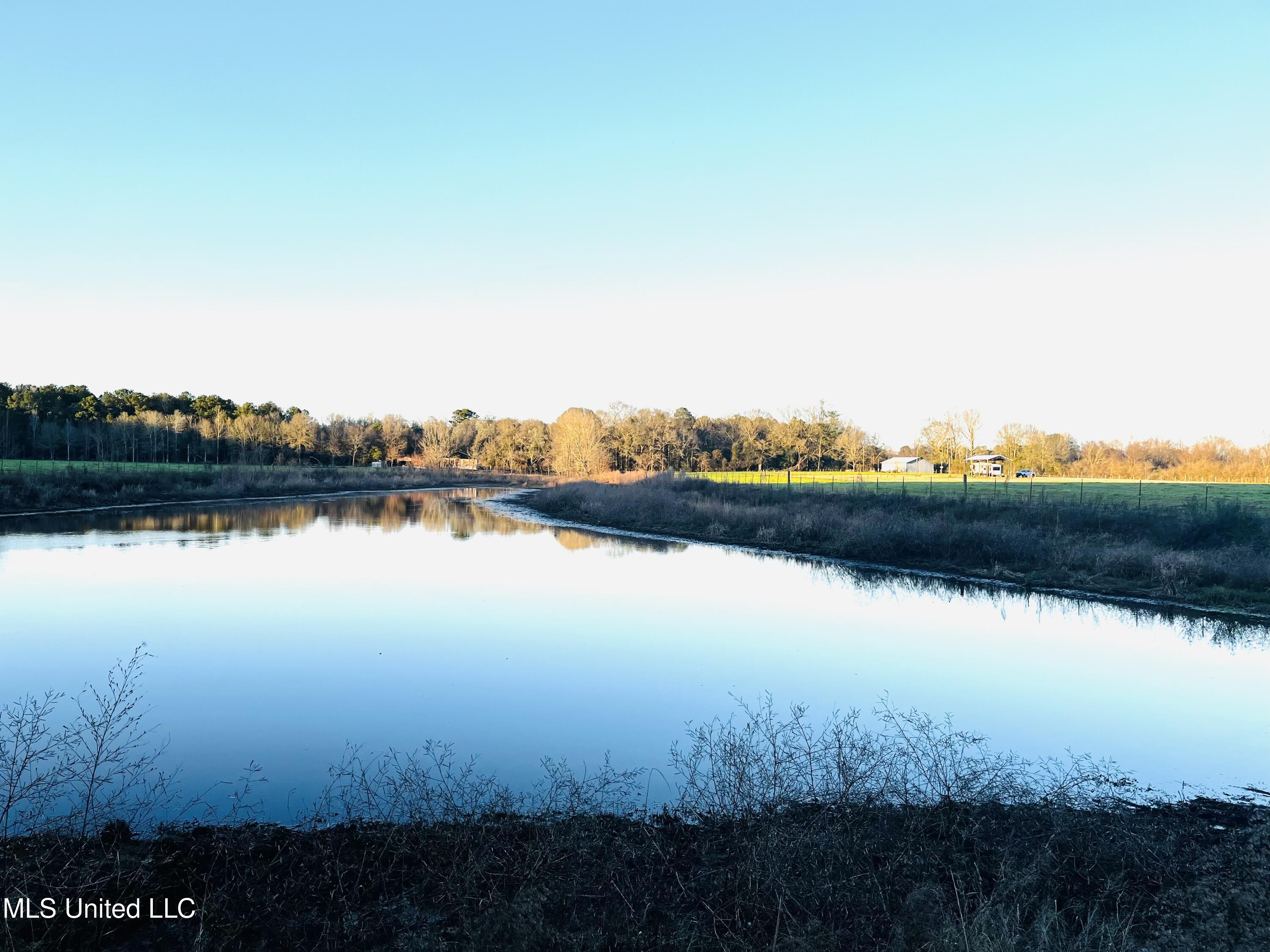 130 Lower Ovett Road Ovett, MS 39464 - Photo 2 of 25 Pond, front pasture