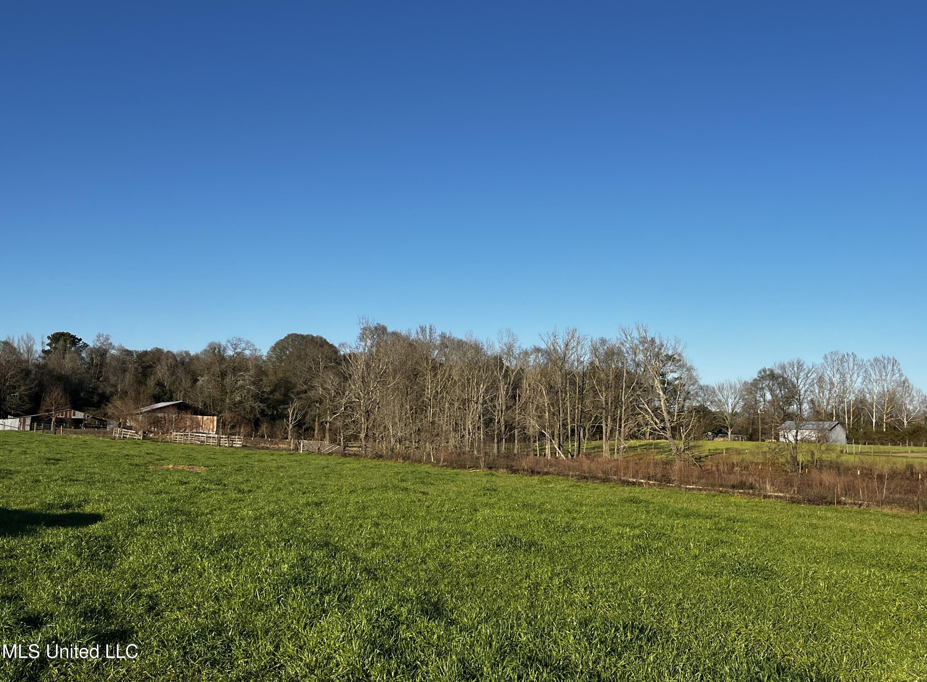 130 Lower Ovett Road Ovett, MS 39464 - Photo 21 of 25 IMG_3834