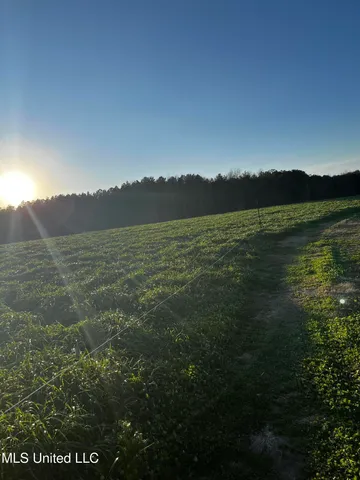 $365,000 | 130 Lower Ovett Road, Ovett, MS 39464