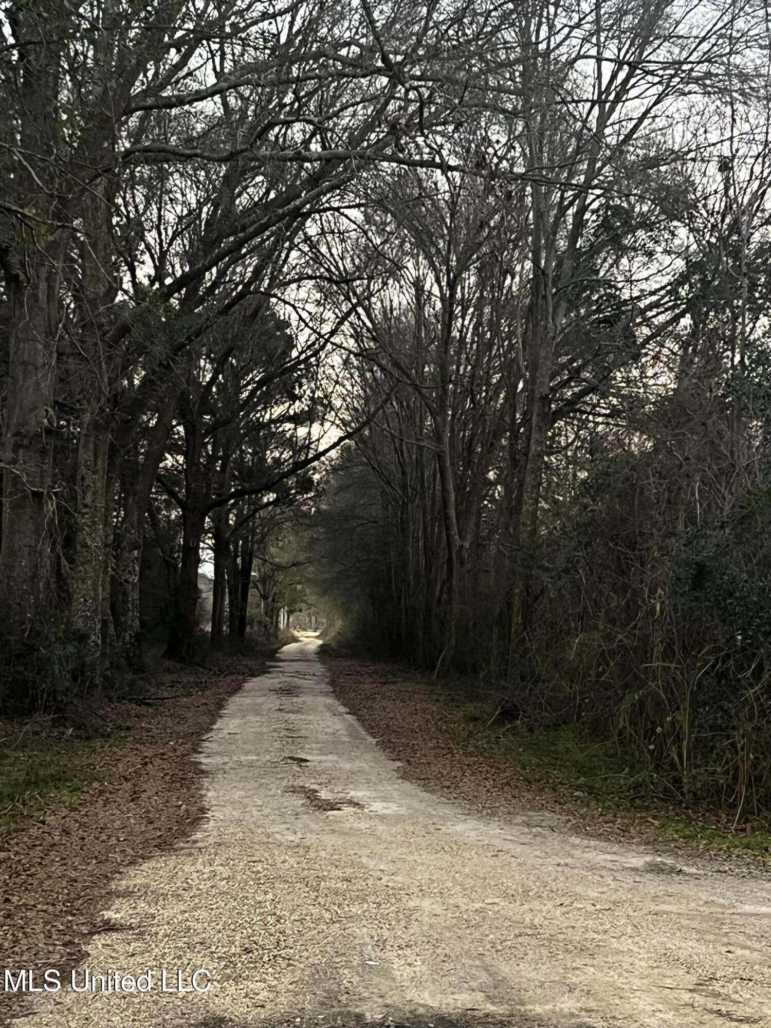 130 Lower Ovett Road Ovett, MS 39464 - Photo 23 of 25 Driveway