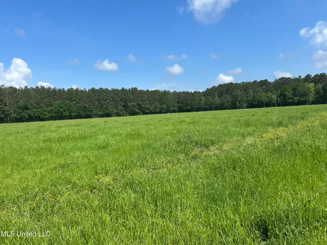 $365,000 | 130 Lower Ovett Road, Ovett, MS 39464