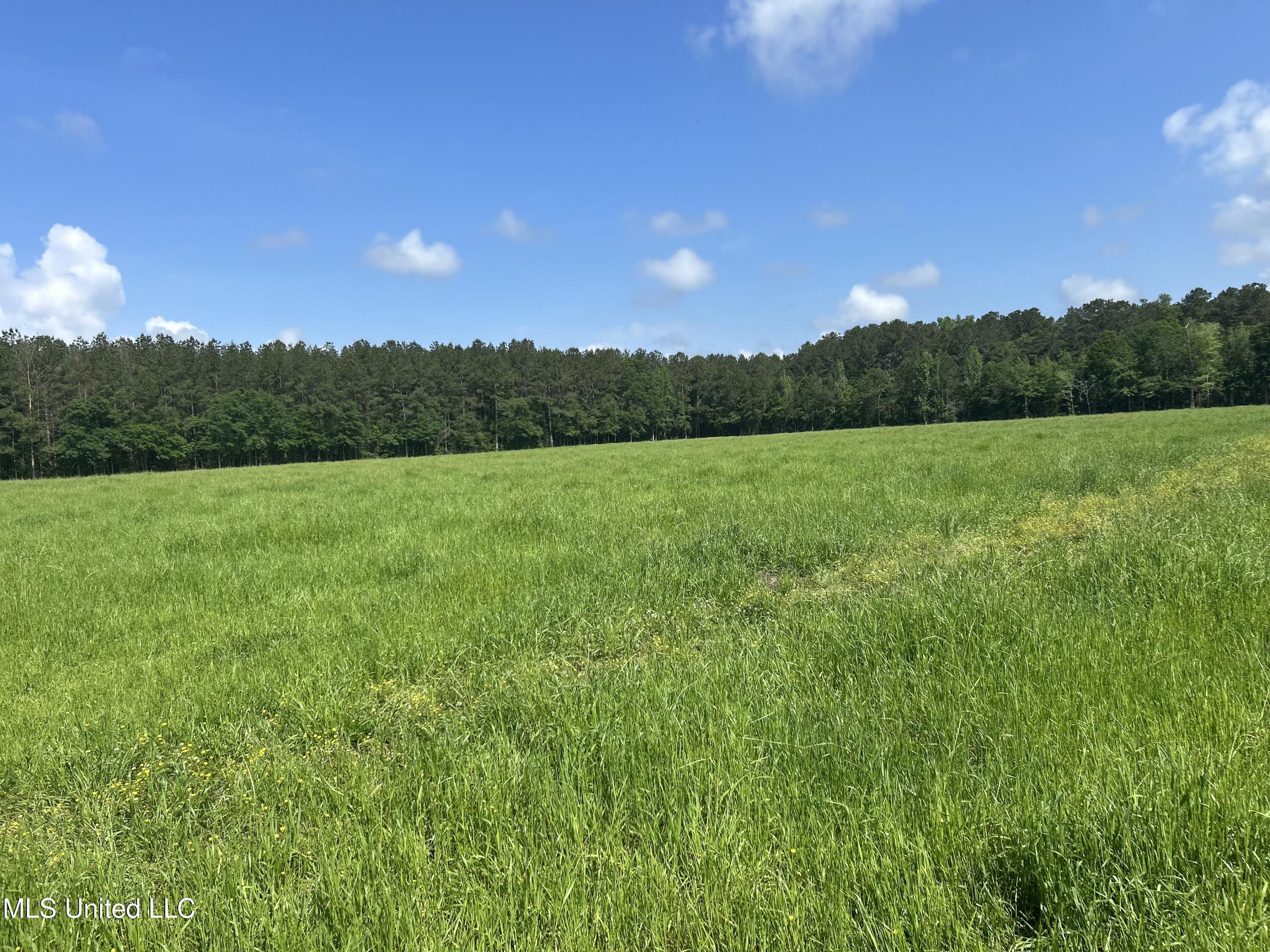 130 Lower Ovett Road Ovett, MS 39464 - Photo 24 of 25 IMG_3789