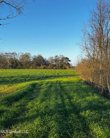 $365,000 | 130 Lower Ovett Road, Ovett, MS 39464