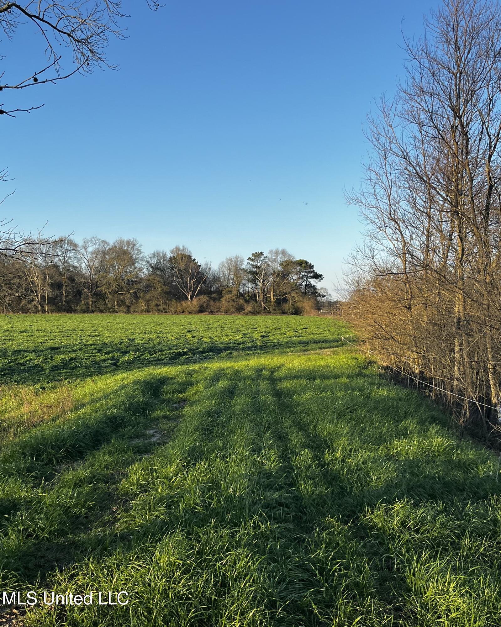 130 Lower Ovett Road Ovett, MS 39464 - Photo 25 of 25 IMG_3859