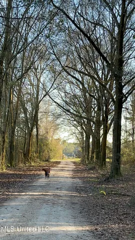 $365,000 | 130 Lower Ovett Road, Ovett, MS 39464