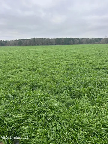 $365,000 | 130 Lower Ovett Road, Ovett, MS 39464