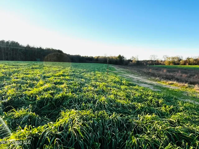 $365,000 | 130 Lower Ovett Road, Ovett, MS 39464