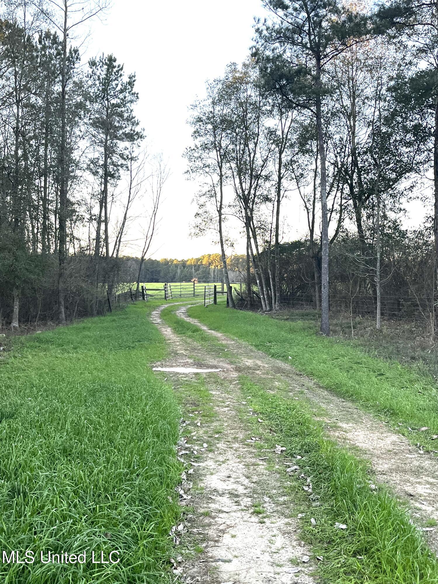 130 Lower Ovett Road Ovett, MS 39464 - Photo 8 of 25 Crossing