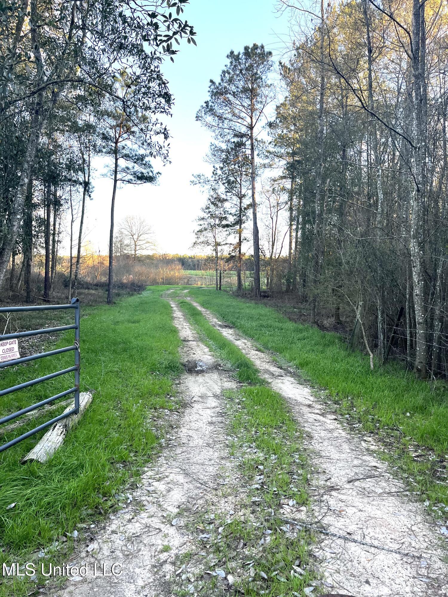 130 Lower Ovett Road Ovett, MS 39464 - Photo 9 of 25 Crossing