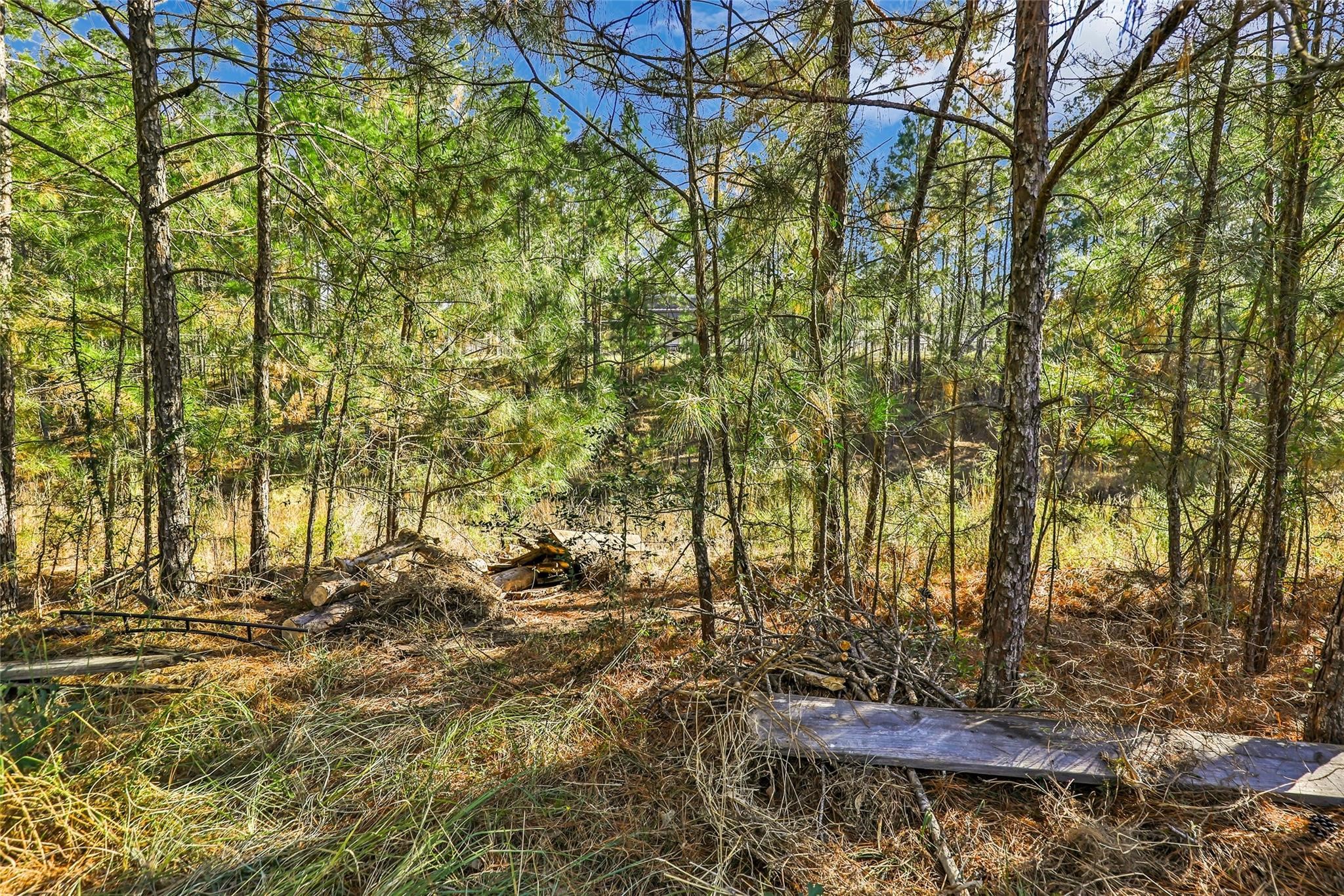 27684 Rio Blanco Drive Splendora, TX 77372 - Photo 33 of 37 a backyard of a house with a yard and outdoor seating