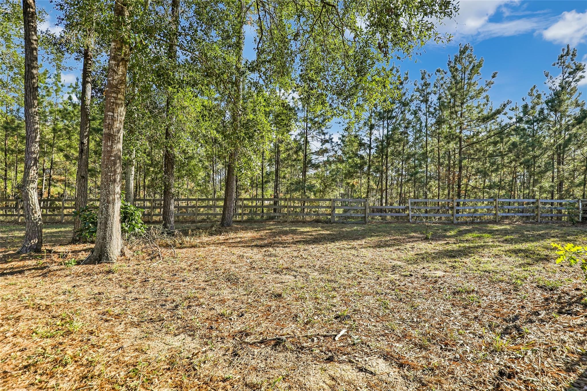 27684 Rio Blanco Drive Splendora, TX 77372 - Photo 35 of 37 a view of outdoor space with deck and yard