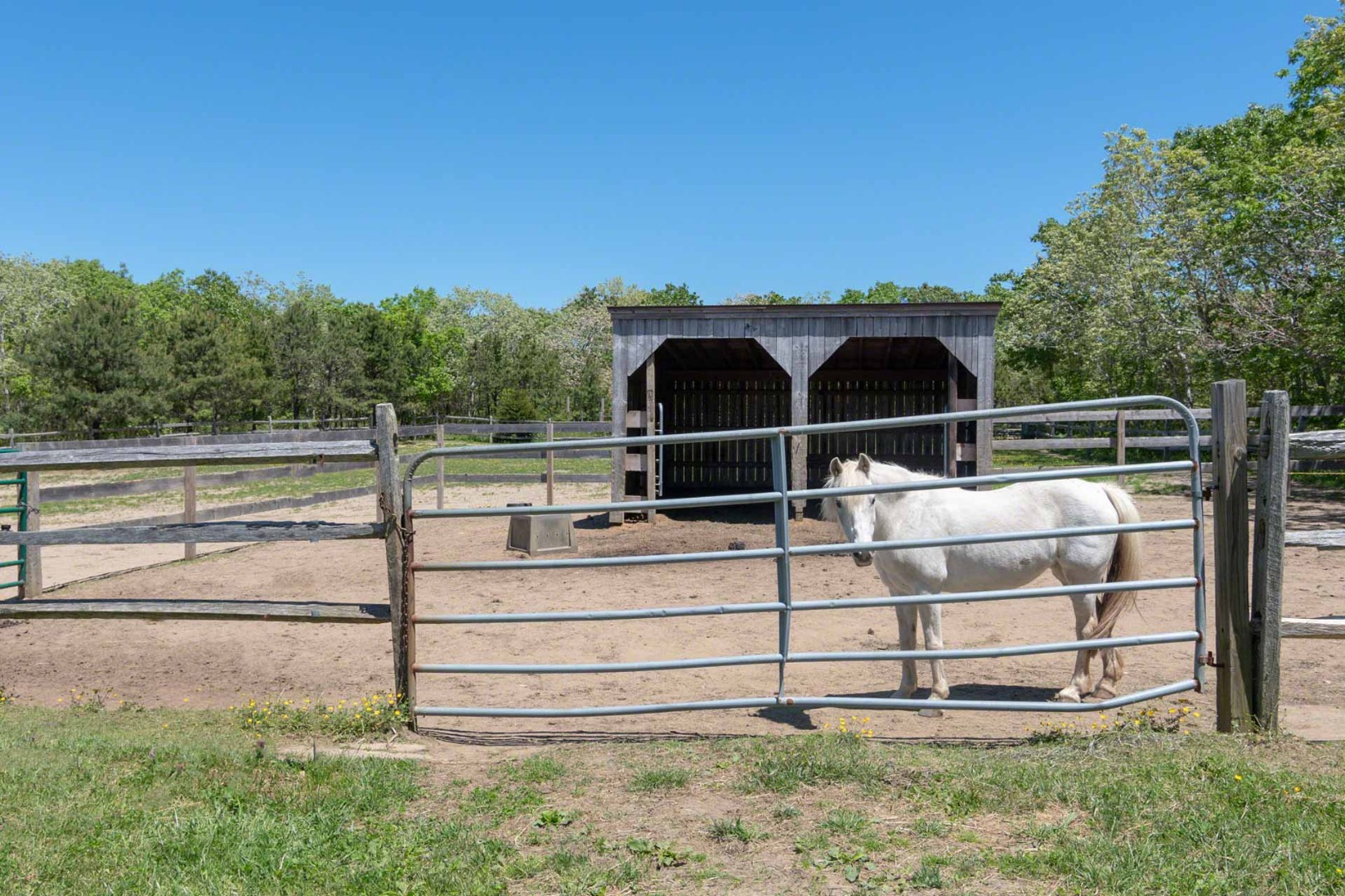 50 Red Pony Road Vineyard Haven, MA 02568 - Photo 25 of 28 a view of outdoor space and yard