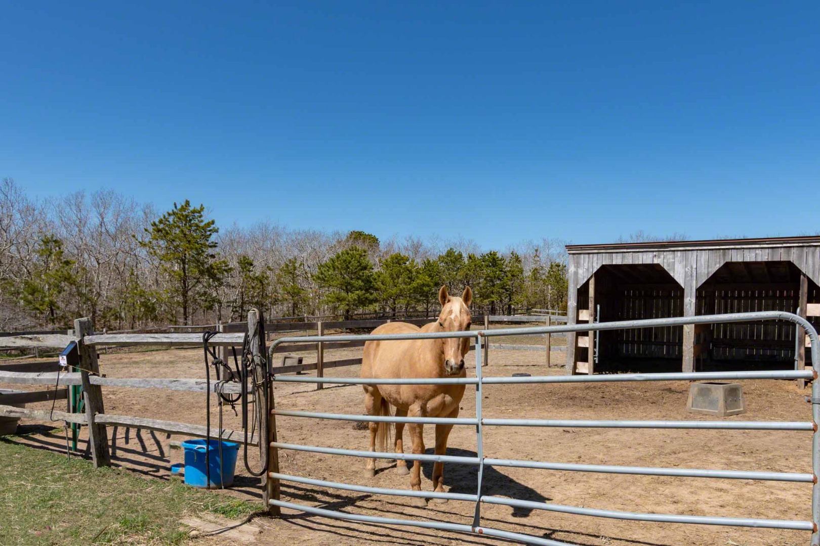 50 Red Pony Road Vineyard Haven, MA 02568 - Photo 26 of 28 a view of a balcony with an outdoor space