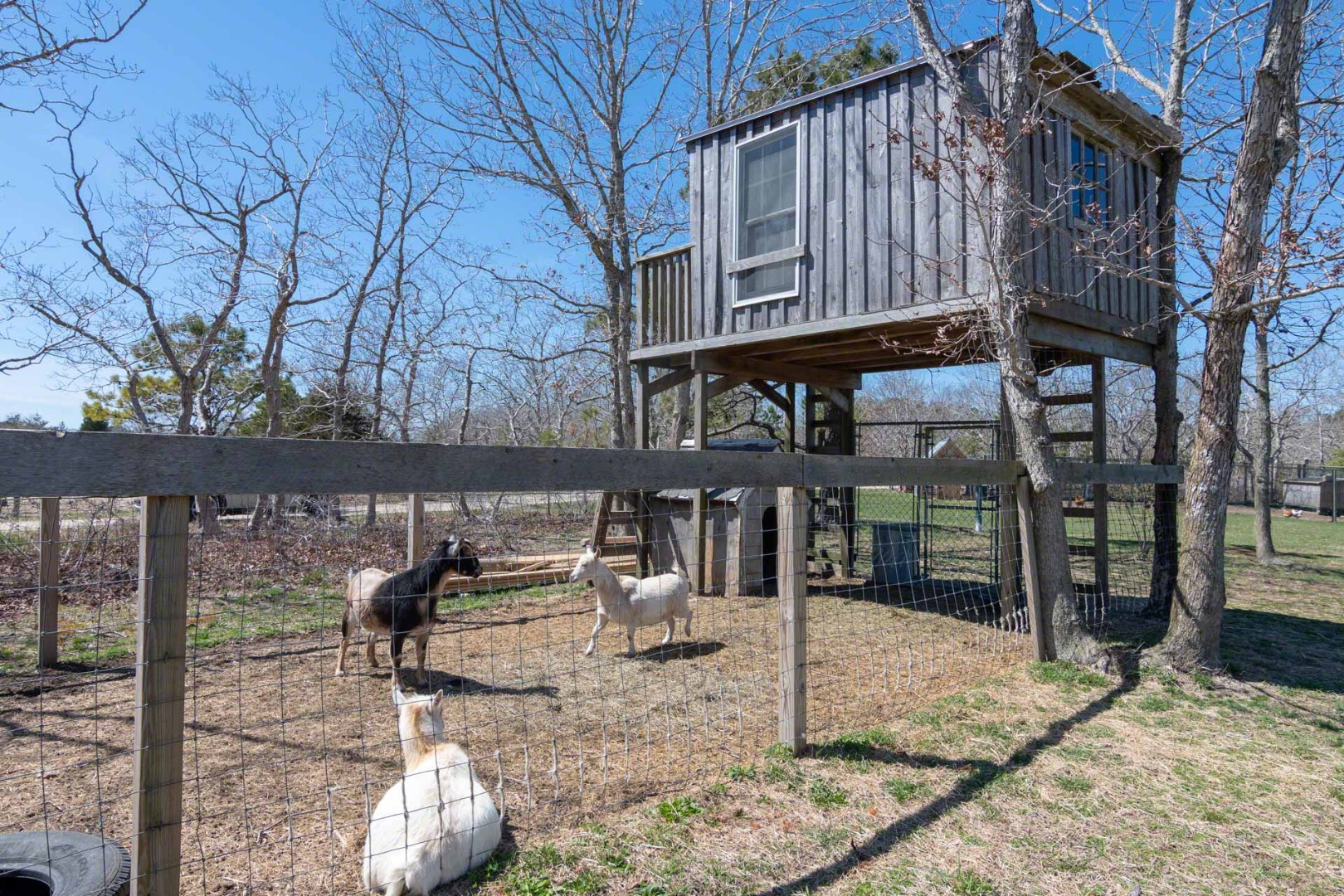 50 Red Pony Road Vineyard Haven, MA 02568 - Photo 27 of 28 a view of a house with backyard and sitting area