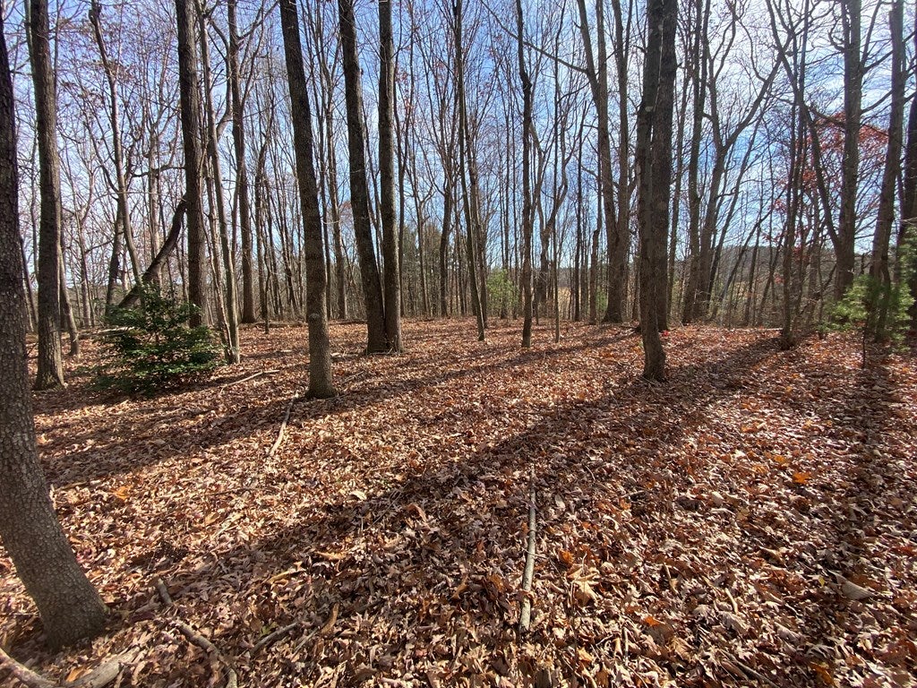 Lot 5 Ivanhoe Road, Unit 5 Fries, VA 24330 - Photo 5 of 6 Gallery Image 5
