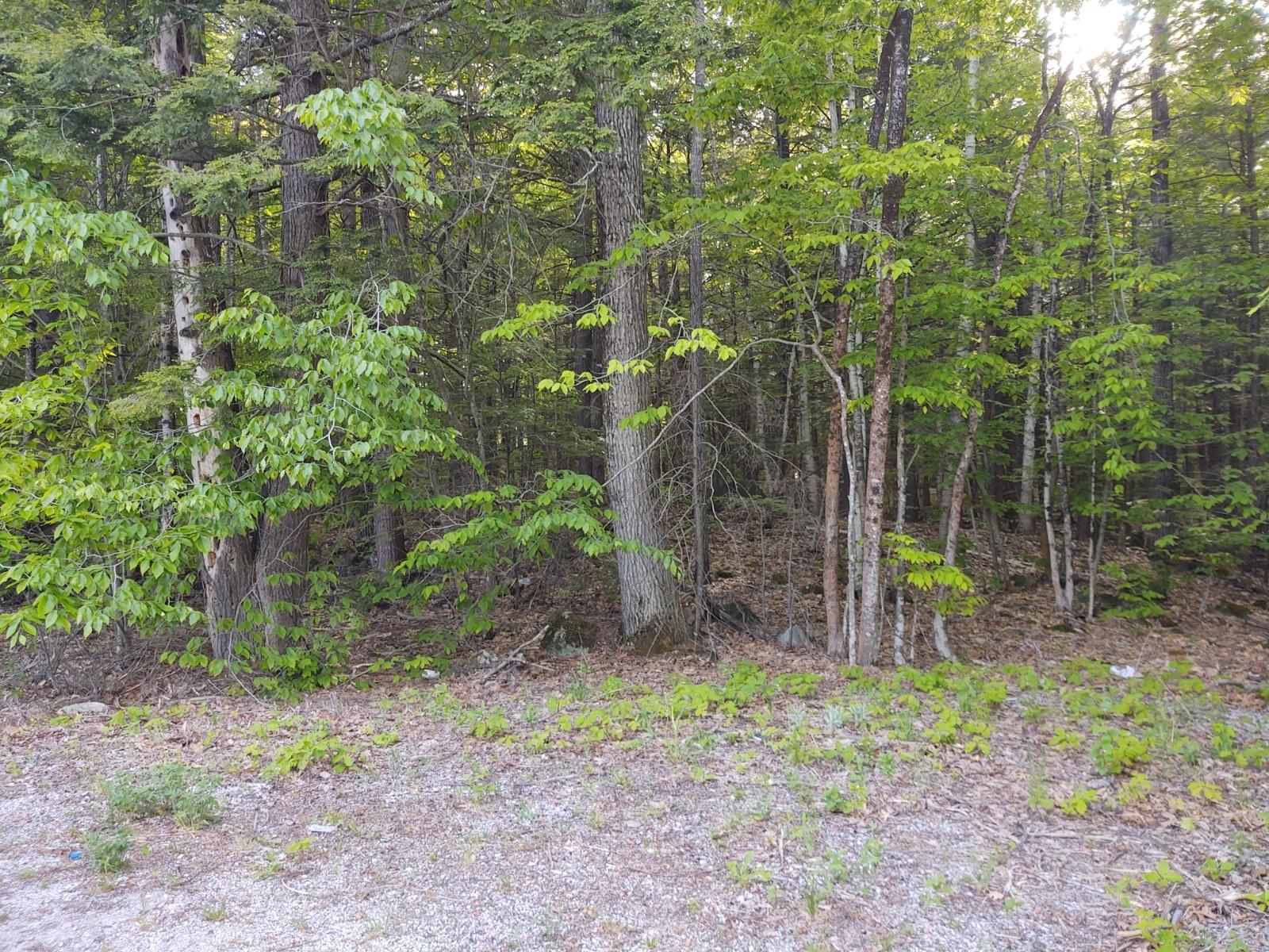 11 Bakerstown Road Poland, ME 04274 - Photo 1 of 5 land1