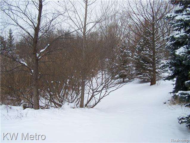 1700 Chase Drive Rochester, MI 48307 - Photo 5 of 19 Backyard